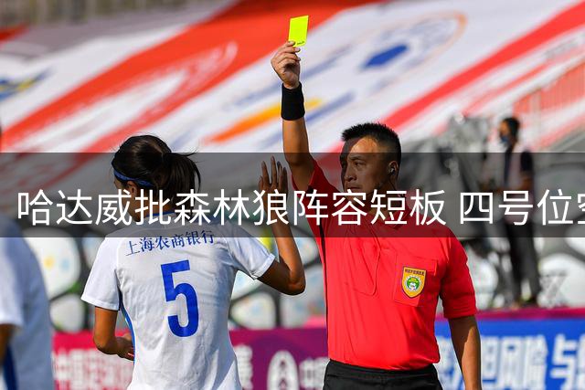 哈达威批森林狼阵容短板 四号位空缺埋隐患